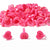 Pink Heart Lash Glue Rings- (100PCS Baby Pink & Hot Pink)